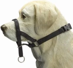 Beeztees Dog Control - Halsband Hond - Zwart - M -Hondenartikelen Serie Winkel 1200x1110 6