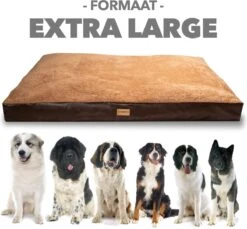 PrimePlus Hondenkussen XL Antraciet - 120x80x10 CM - Zacht En Luxe Hondenmand - Hondenbed - Hondenmat - Orthopedisch Hondenkussens 17 PrimePlus Hondenkussen XL Antraciet - 120x80x10 CM - Zacht En Luxe Hondenmand - Hondenbed - Hondenmat - Orthopedisch Hondenkussens -Hondenartikelen Serie Winkel 1200x1112