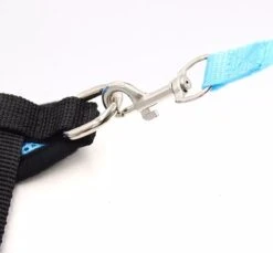 Zavelo® Honden Tuigje - Puppy En Kattentuigje - Hondenharnas - Reflecterend - Incl. Bijpassend Riempje - Zwart-Maat: S -Hondenartikelen Serie Winkel 1200x1112 5