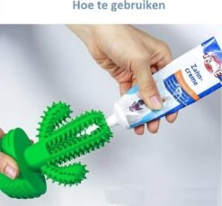 Tandenborstel + TANDPASTA Hond Melk Geur Smaak En Piep Honden Speelgoed - Cactus Dog Toy Tandverzorging Kauwbotten Hondenspeelgoed Hondenbot Kauwstaaf Tanden Puppy Hondenspeeltje Sterk Kauwspeelgoed - Dutchwide -Hondenartikelen Serie Winkel 1200x1113 8