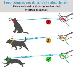 Oak's First Elastische En Diervriendelijke Looplijn Met Heupriem - Hondenriem - 150cm/210cm - Grijs -Hondenartikelen Serie Winkel 1200x1114 20