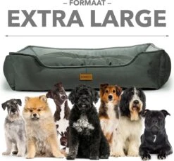 Primeplus Grote Hondenmand XL - Grijs - 100x80x20 CM - Orthopedische Hondenmanden - Hondenkussen -Hondenartikelen Serie Winkel 1200x1114 9