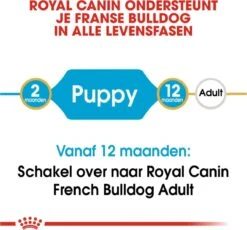 Royal Canin French Bulldog Junior 3 KG 28 Royal Canin French Bulldog Junior 3 KG -Hondenartikelen Serie Winkel 1200x1115 1