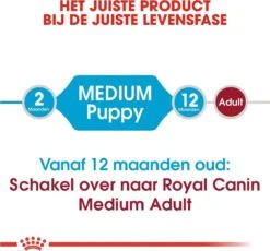 Royal Canin Medium Junior 15 KG -Hondenartikelen Serie Winkel 1200x1116 2