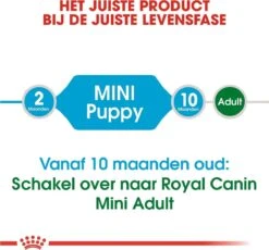 Royal Canin Mini Junior 8 KG -Hondenartikelen Serie Winkel 1200x1116