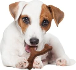 Nylabone Extreme Kauwbot Vorkbeen - Voor De Krachtigste Kauwers - Bizon Of Kipsmaak - S/M/L - Smaak: Bizon, Maat: Large -Hondenartikelen Serie Winkel 1200x1117 11