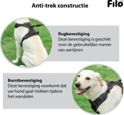 Filo Anti Trek Hondentuig Maat XL Met Hondenriem - Y Tuig Hond Verstelbaar - Hondenharnas Met Hondenlijn - Honden Tuigje - Leiband Hond - Hondentuigje - Extra Large - Riem -Hondenartikelen Serie Winkel 1200x1117 8