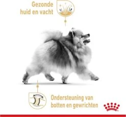 Royal Canin Pomeriaan Adult - Hondenvoer - 3 Kg 15 Royal Canin Pomeriaan Adult - Hondenvoer - 3 Kg -Hondenartikelen Serie Winkel 1200x1118