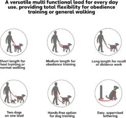 Company Of Animals Halti Trainingslijn - Large - 2 Meter - Verstelbaar - Zwart 21 Company Of Animals Halti Trainingslijn - Large - 2 Meter - Verstelbaar - Zwart -Hondenartikelen Serie Winkel 1200x1119 3