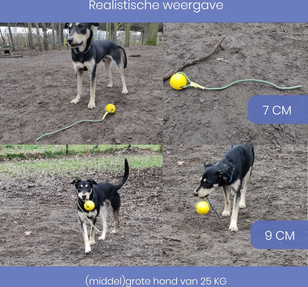 Leashr Honden Speelgoed - Bal Aan Touw - 2 Stuks - Touw - Koord - Kauwspeelgoed - Apporteer - Hond - 7 CM 6 Leashr Honden Speelgoed - Bal Aan Touw - 2 Stuks - Touw - Koord - Kauwspeelgoed - Apporteer - Hond - 7 CM - Afbeelding 4