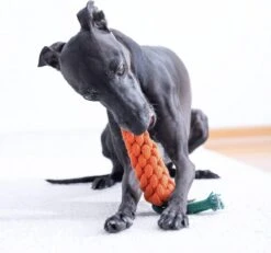 NufNuf - Hondenspeelgoed - Wortel - Stevig En Duurzaam Designspeelgoed -Hondenartikelen Serie Winkel 1200x1120 11