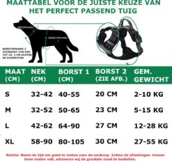 Mister Mill Hondentuigje 2x Klikgesp Maat M Grijs - Anti-Trek Tuig Hondenharnas - Y Tuig Hond Reflecterend 14 Mister Mill Hondentuigje 2x Klikgesp Maat M Grijs - Anti-Trek Tuig Hondenharnas - Y Tuig Hond Reflecterend -Hondenartikelen Serie Winkel 1200x1124 22