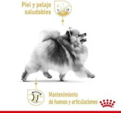 Royal Canin Pomeriaan Adult - Hondenvoer - 3 Kg 16 Royal Canin Pomeriaan Adult - Hondenvoer - 3 Kg -Hondenartikelen Serie Winkel 1200x1125 4