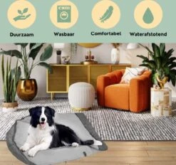 Bolobo | Hondenslaapzak - Dierenslaapzak - Hondencave - Hondenmand Cave - Cozy Cave - Slaapzak Hond - Hondenmand - Hondenkussen - Travelbag - Dentalsticks - Kampeerslaapzak -Hondenartikelen Serie Winkel 1200x1125 5