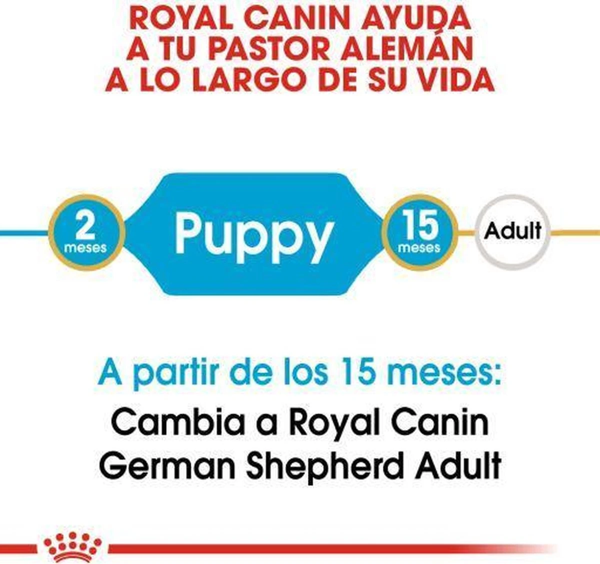 Royal Canin German Shepherd Puppy - Hondenvoer - 12 Kg 6 Royal Canin German Shepherd Puppy - Hondenvoer - 12 Kg - Afbeelding 4