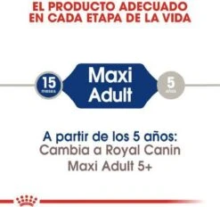 Royal Canin Maxi Adult 5+ Jaar Oud - Hondenvoer - 15 Kg -Hondenartikelen Serie Winkel 1200x1127