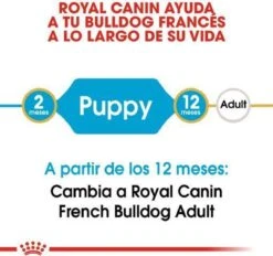 Royal Canin French Bulldog Junior 3 KG 21 Royal Canin French Bulldog Junior 3 KG -Hondenartikelen Serie Winkel 1200x1127 3