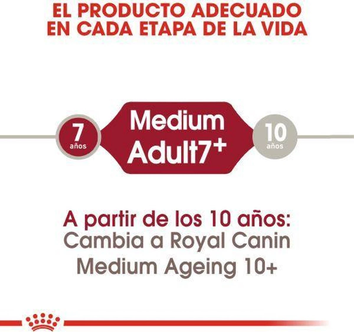 Royal Canin Medium Adult 7+ 15 KG 6 Royal Canin Medium Adult 7+ 15 KG - Afbeelding 4