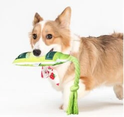 Merkloos Hondenspeelgoed - Piepspeelgoed - Trekspeeltje - Chocobruin 7 Merkloos Hondenspeelgoed - Piepspeelgoed - Trekspeeltje - Chocobruin -Hondenartikelen Serie Winkel 1200x1127 8