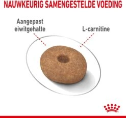 Royal Canin Mini Light 8 KG -Hondenartikelen Serie Winkel 1200x1128 1