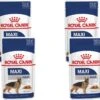 Royal Canin Shn Maxi Adult Pouch - Hondenvoer - 4 X 10 X 140 G -Hondenartikelen Serie Winkel 1200x1128 2