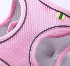 Hondentuigje Voor Kleine Puppy's & Kleine Honden - Blauw - Maat M -Hondenartikelen Serie Winkel 1200x1130 6