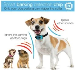 Merkloos Anti Blafband Voor Honden Blafband Anti Blaf Apparaat Blafband Zonder Schok - Diervriendelijk -Hondenartikelen Serie Winkel 1200x1133 3