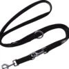 DDOXX Hondenriem Air Mesh, 3-voudig Verstelbaar, 2m | Voor Kleine & Grote Honden | Dubbele Riem Twee Honden Kat Puppy | Tug Leash Large | Lead Leash Small | Walking Leash Puppy Leash | Zwart, M 2 DDOXX Hondenriem Air Mesh, 3-voudig Verstelbaar, 2m | Voor Kleine & Grote Honden | Dubbele Riem Twee Honden Kat Puppy | Tug Leash Large | Lead Leash Small | Walking Leash Puppy Leash | Zwart, M -Hondenartikelen Serie Winkel 1200x1133 5