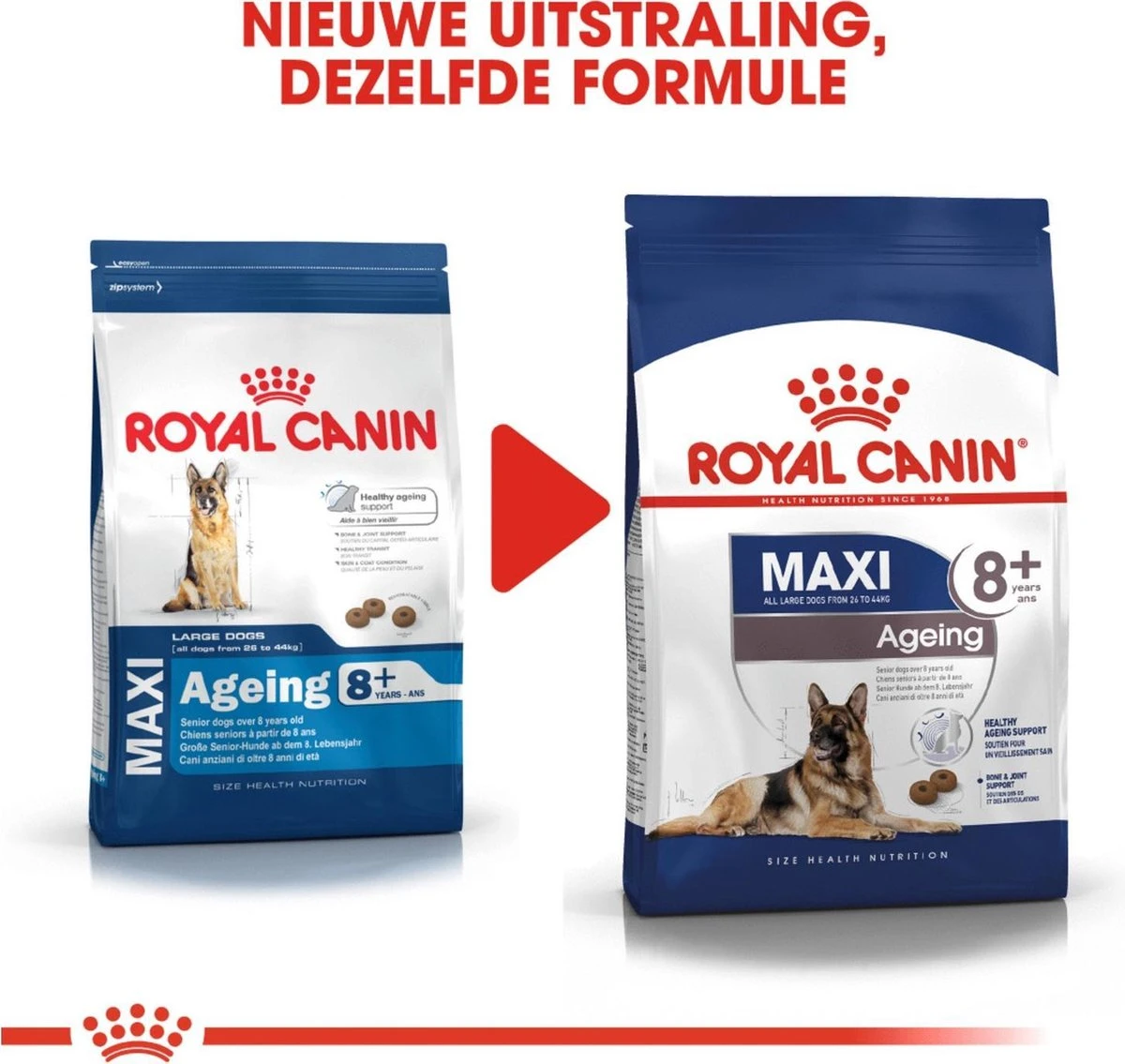 Royal Canin Maxi Ageing 8+ 15 KG 12 Royal Canin Maxi Ageing 8+ 15 KG - Afbeelding 10