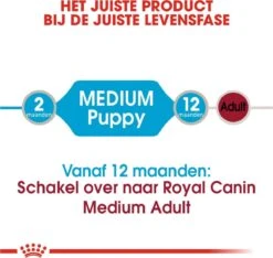 Royal Canin Shn Medium Puppy Pouch - Hondenvoer - 10 X 140 G -Hondenartikelen Serie Winkel 1200x1135 8