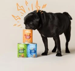 Edgard & Cooper Kip & Kalkoen Blik - Voor Volwassen Honden - Hondenvoer - 12 X 400g 13 Edgard & Cooper Kip & Kalkoen Blik - Voor Volwassen Honden - Hondenvoer - 12 X 400g -Hondenartikelen Serie Winkel 1200x1138 2