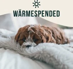 Happilax Fluffy Hondendeken Voor Auto & Bank, Wasbare Hondenmat Voor Op Reis, Grijs, L -Hondenartikelen Serie Winkel 1200x1139 2