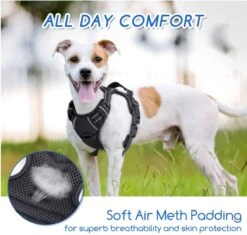 Nobleza 42ZHY - Hondenharnas - Hondentuigje - Anti Trek - L - Zwart -Hondenartikelen Serie Winkel 1200x1141 9