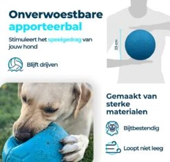 Jolly Pets Jolly Soccer Ball – Hondenspeelgoed – Hondenspeeltjes Voor Binnen En Buiten – Hondenbal Voor Honden – Hondenvoetbal – Jollyflex Stevig Kunststof – Drijvend Hondenspeeltje – Ø20cm – Licht Blauw 10 Jolly Pets Jolly Soccer Ball – Hondenspeelgoed – Hondenspeeltjes Voor Binnen En Buiten – Hondenbal Voor Honden – Hondenvoetbal – Jollyflex Stevig Kunststof – Drijvend Hondenspeeltje – Ø20cm – Licht Blauw -Hondenartikelen Serie Winkel 1200x1142 22