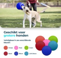 Jolly Pets Jolly Soccer Ball – Hondenspeelgoed – Hondenspeeltjes Voor Binnen En Buiten – Hondenbal Voor Honden – Hondenvoetbal – Jollyflex Stevig Kunststof – Drijvend Hondenspeeltje – Ø20cm – Licht Blauw 14 Jolly Pets Jolly Soccer Ball – Hondenspeelgoed – Hondenspeeltjes Voor Binnen En Buiten – Hondenbal Voor Honden – Hondenvoetbal – Jollyflex Stevig Kunststof – Drijvend Hondenspeeltje – Ø20cm – Licht Blauw -Hondenartikelen Serie Winkel 1200x1142 23