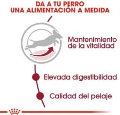 Royal Canin Medium Adult 7+ 15 KG 25 Royal Canin Medium Adult 7+ 15 KG -Hondenartikelen Serie Winkel 1200x1143 1