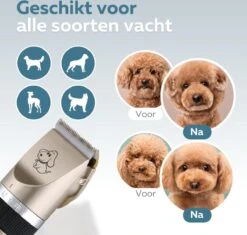 BYER Professionele Dieren Tondeuse Set - Voor Huisdieren Katten & Honden - Draadloos - Oplaadbare Pet Trimmer - Dog Tondeuze Clipper - 5 Standen & Vier Opzetkammen - Low Noise -Hondenartikelen Serie Winkel 1200x1144 7