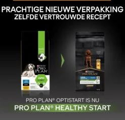 Pro Plan Healthy Start Puppy Small & Mini - Honden Droogvoer - Kip - 3 Kg 21 Pro Plan Healthy Start Puppy Small & Mini - Honden Droogvoer - Kip - 3 Kg -Hondenartikelen Serie Winkel 1200x1145 12