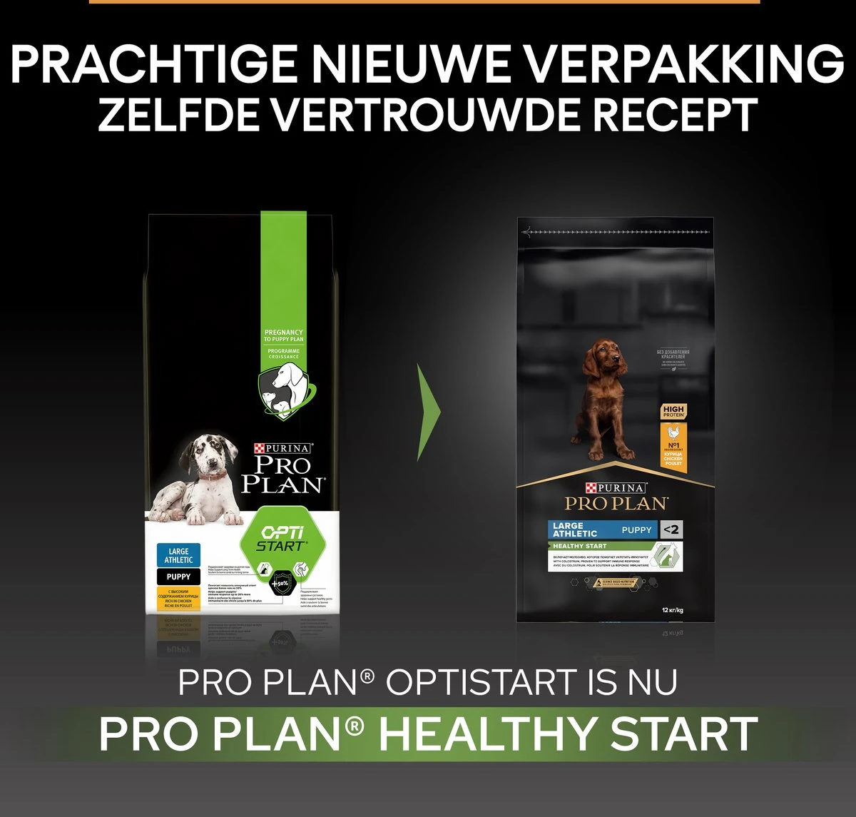 Pro Plan Healthy Start Puppy Small & Mini - Honden Droogvoer - Kip - 3 Kg 5 Pro Plan Healthy Start Puppy Small & Mini - Honden Droogvoer - Kip - 3 Kg - Afbeelding 3
