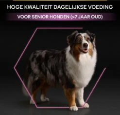 Pro Plan Medium & Large Adult 7+ (Senior) Age Defence - Honden Droogvoer- Kip - 14 Kg 26 Pro Plan Medium & Large Adult 7+ (Senior) Age Defence - Honden Droogvoer- Kip - 14 Kg -Hondenartikelen Serie Winkel 1200x1146 12