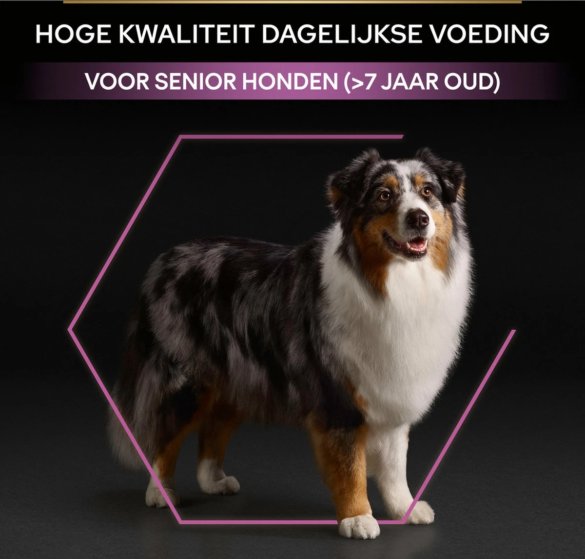 Pro Plan Medium & Large Adult 7+ (Senior) Age Defence - Honden Droogvoer- Kip - 14 Kg 13 Pro Plan Medium & Large Adult 7+ (Senior) Age Defence - Honden Droogvoer- Kip - 14 Kg - Afbeelding 11