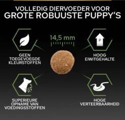 Pro Plan Healthy Start Puppy Large Robust - Honden Droogvoer - Kip - 12 Kg -Hondenartikelen Serie Winkel 1200x1146 13