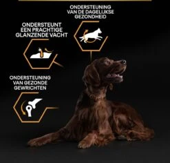 Pro Plan Everyday Nutrition Large Athletic Adult - Honden Droogvoer - Kip - 14 Kg -Hondenartikelen Serie Winkel 1200x1146 17