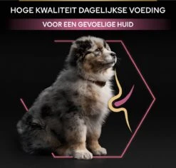 Pro Plan Medium Puppy Sensitive Skin - Honden Droogvoer - Zalm - 12 Kg -Hondenartikelen Serie Winkel 1200x1146 27
