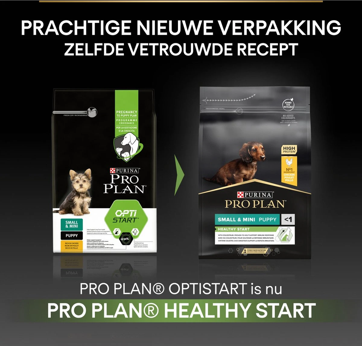 Pro Plan Healthy Start Puppy Small & Mini - Honden Droogvoer - Kip - 3 Kg 7 Pro Plan Healthy Start Puppy Small & Mini - Honden Droogvoer - Kip - 3 Kg - Afbeelding 5