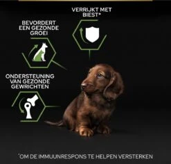Pro Plan Healthy Start Puppy Small & Mini - Honden Droogvoer - Kip - 3 Kg 32 Pro Plan Healthy Start Puppy Small & Mini - Honden Droogvoer - Kip - 3 Kg -Hondenartikelen Serie Winkel 1200x1146 32