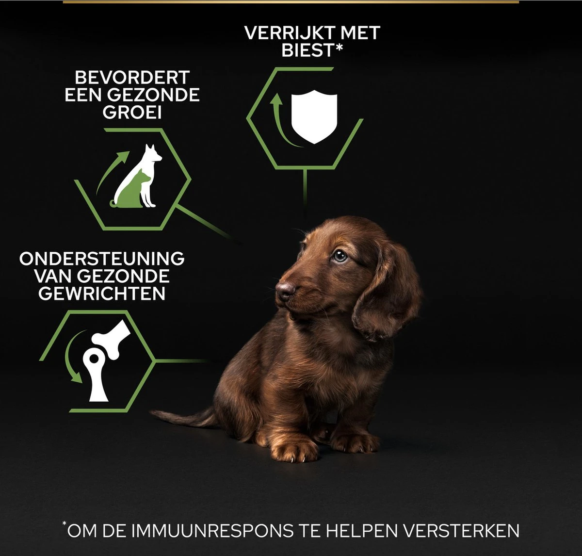 Pro Plan Healthy Start Puppy Small & Mini - Honden Droogvoer - Kip - 3 Kg 16 Pro Plan Healthy Start Puppy Small & Mini - Honden Droogvoer - Kip - 3 Kg - Afbeelding 14
