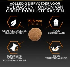 Pro Plan Everyday Nutrition Large Robust Adult - Honden Droogvoer - Kip - 14 Kg 26 Pro Plan Everyday Nutrition Large Robust Adult - Honden Droogvoer - Kip - 14 Kg -Hondenartikelen Serie Winkel 1200x1146 34