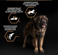 Pro Plan Everyday Nutrition Large Robust Adult - Honden Droogvoer - Kip - 14 Kg 30 Pro Plan Everyday Nutrition Large Robust Adult - Honden Droogvoer - Kip - 14 Kg -Hondenartikelen Serie Winkel 1200x1146 36