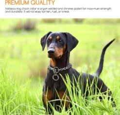 Nobleza Slipketting Hond - Sliphalsband - Trainingshalsband - Hondenketting - Maat L -Hondenartikelen Serie Winkel 1200x1146 49